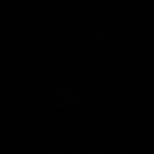 Meet your Posher, Mariam